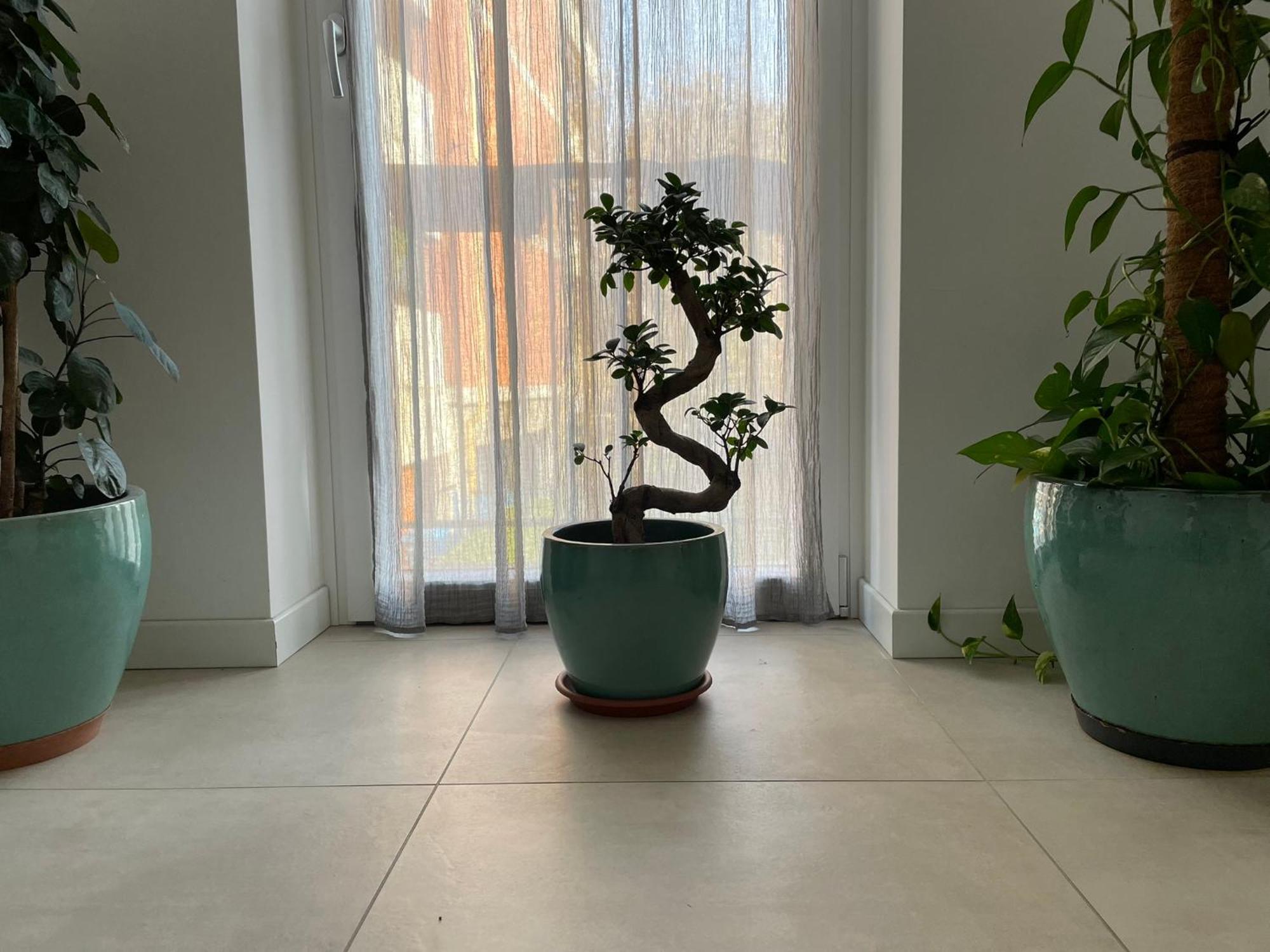 Green Stay Bergamo Eksteriør billede